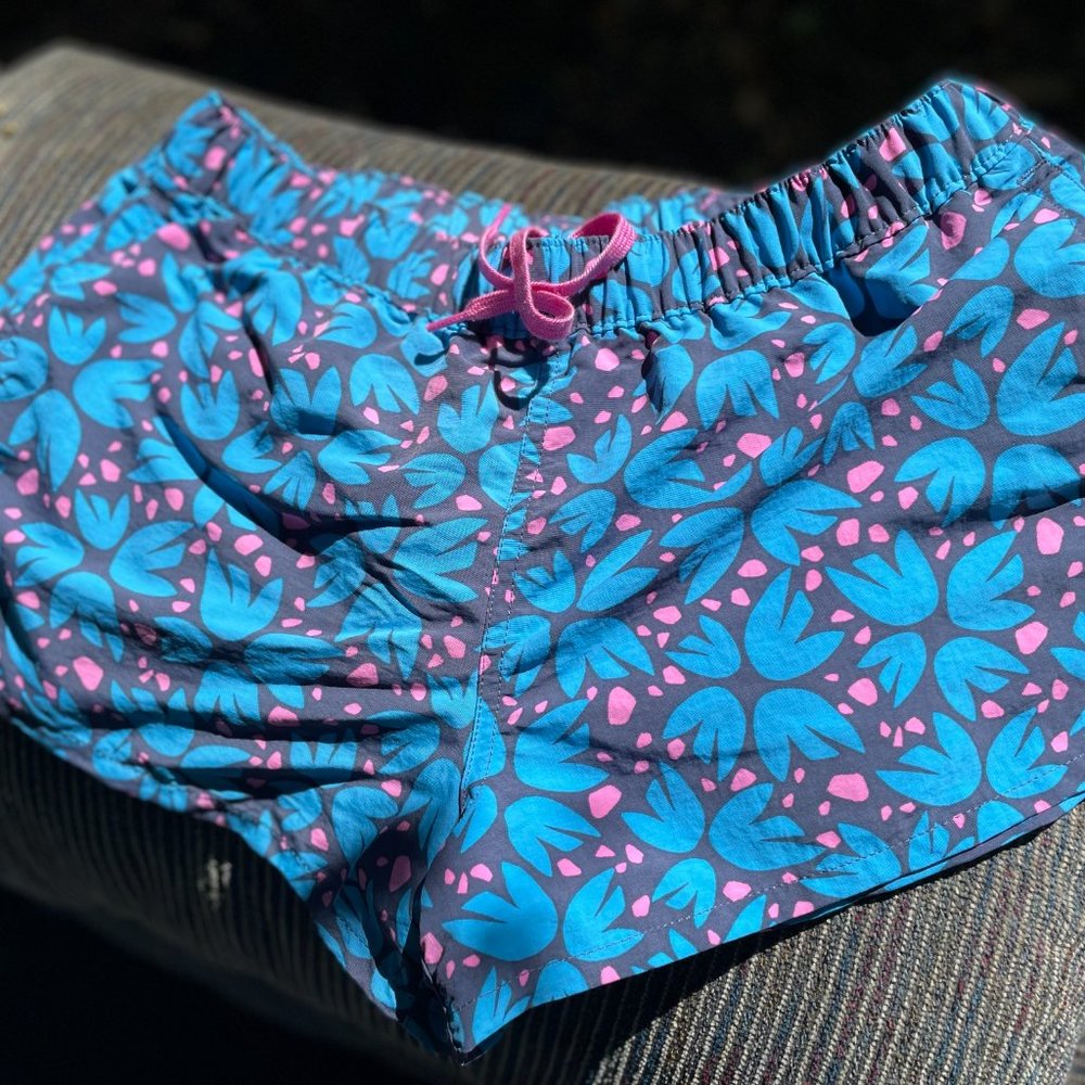 patagonia baggie shorts